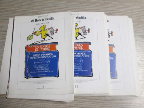 Portada del libro de BIBLIOTECA EL NORTE DE CASTILLA VOLUMEN VII. LIBROS Y DOCUMENTOS EN LA IGLESIA DE CASTILLA Y LEON (45...