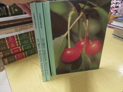 Portada del libro de LAS PLANTAS NUESTRAS AMIGAS Las plantas a su mesa