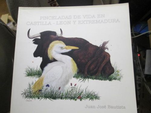 Portada del libro de PINCELADAS DE VIDA EN CASTILLA-LEON Y EXTREMADURA