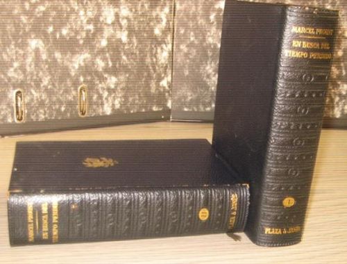 Portada del libro de EN BUSCA DEL TIEMPO PERDIDO (TOMO I y II)