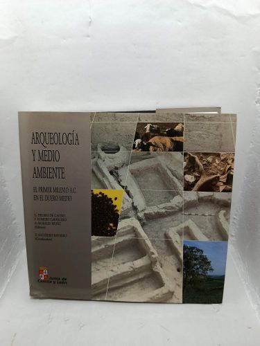 ARQUEOLOGÍA Y MEDIO AMBIENTE: EL PRIMERA MILENIO A.C. EN EL DUERO MEDIO.