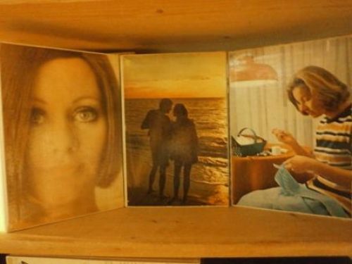 Portada del libro de BELLEZA FEMENINA, DECORACIÓN, CASA, COCINA, VIDA SEXUAL, EL BEBÉ Y EL NIÑO