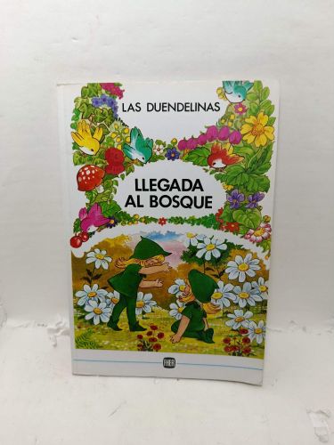 LLEGADA AL BOSQUE
