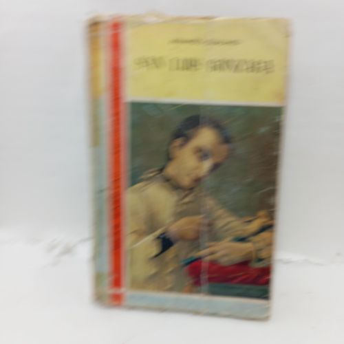 Portada del libro de SAN LUIS GONZAGA