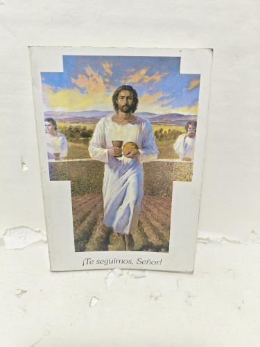 Portada del libro de ¡TE SEGUIMOS, SEÑOR! Mensaje de Jesús a Sor Benigna Consolata