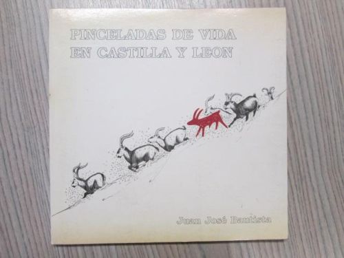 Portada del libro de PINCELADAS DE VIDA EN CASTILLA Y LEÓN