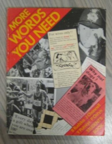 Portada del libro de MORE WORDS YOU NEED